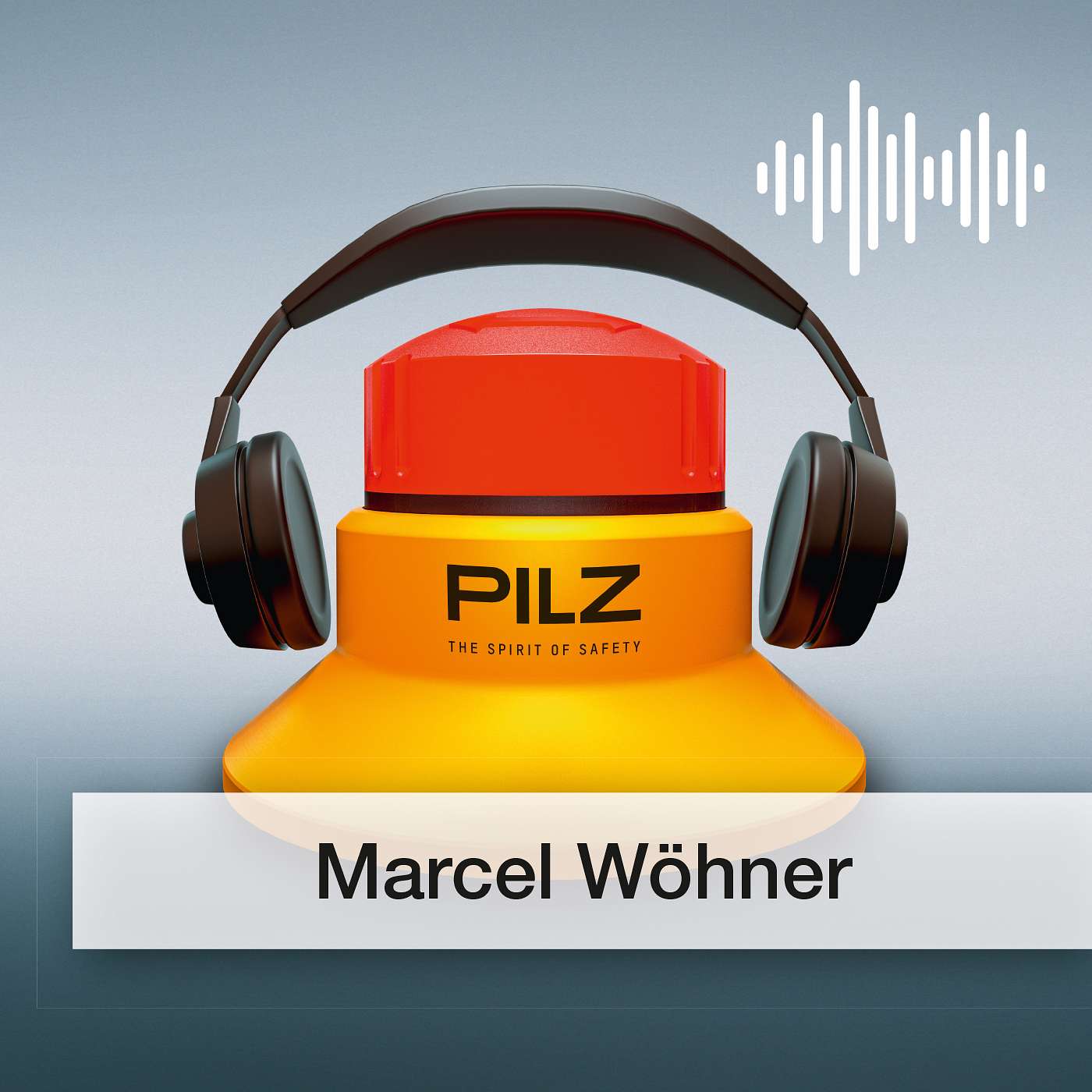 Pilz GmbH & Co. KG