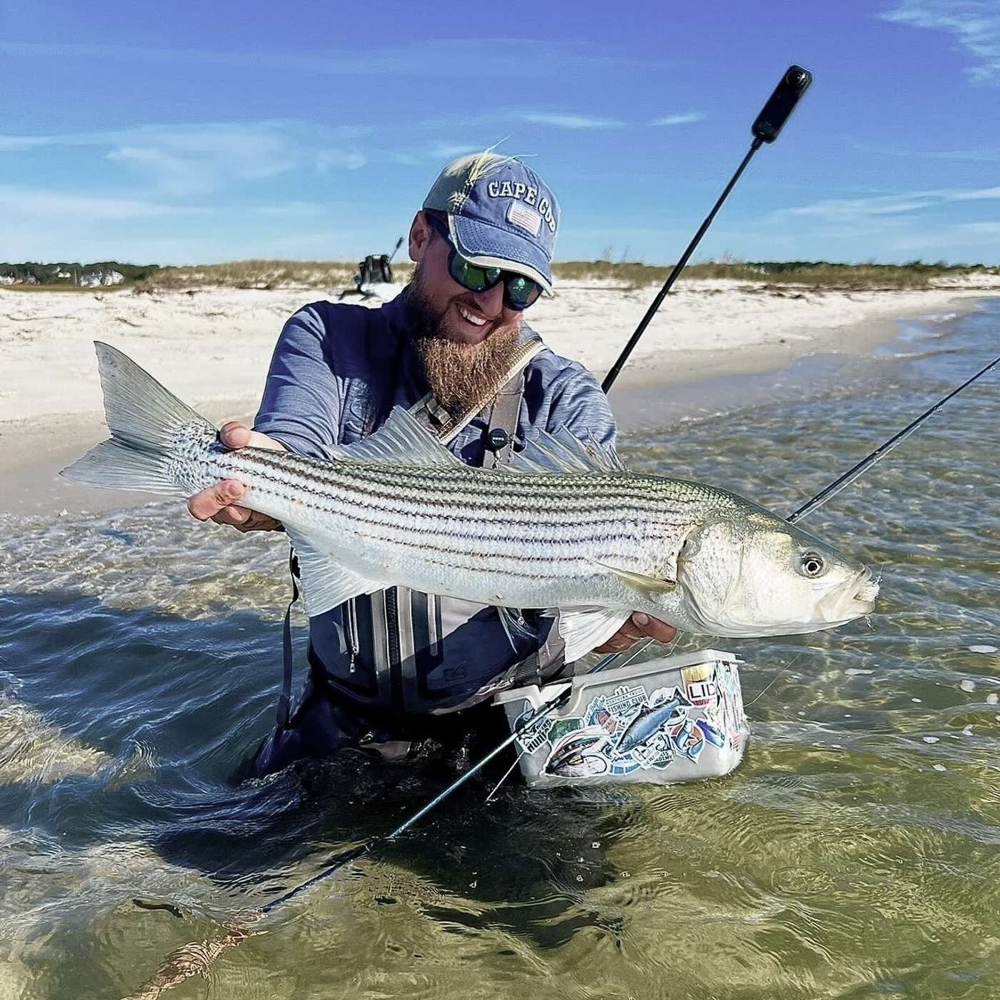#35: Stripers & Blitz på Cape Cod episode artwork