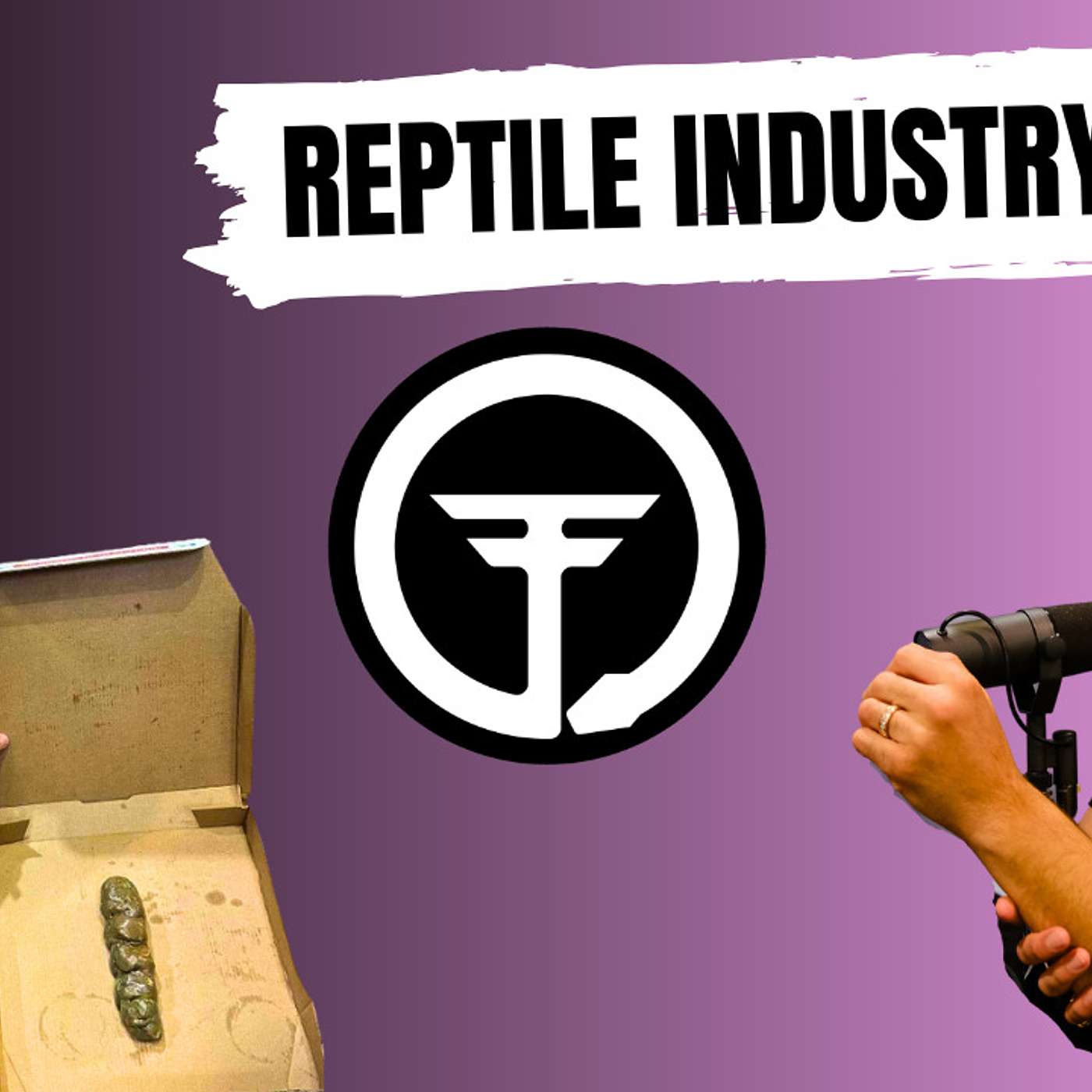 MJ & Dave have a real heart to heart about the Reptile Industry