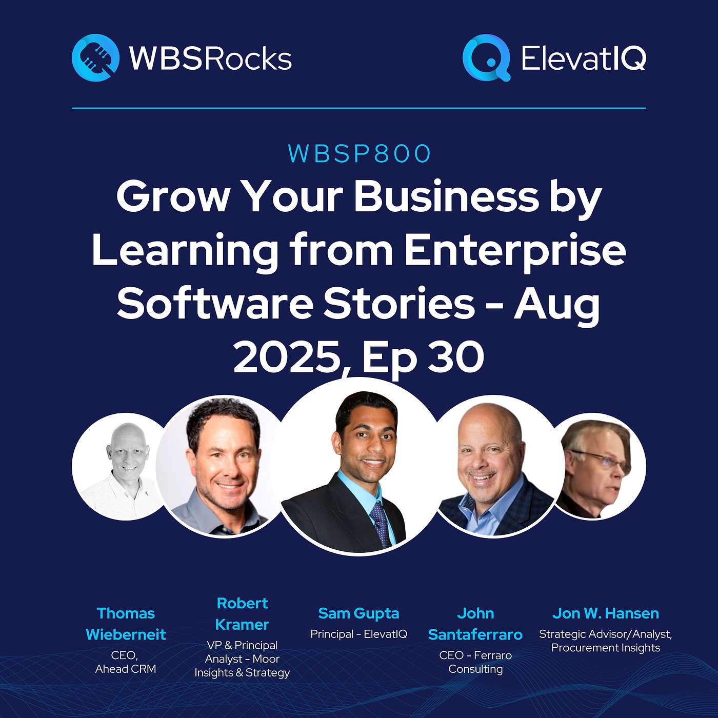 WBSRocks: Business Growth with Enterprise Software and Digital Transformation