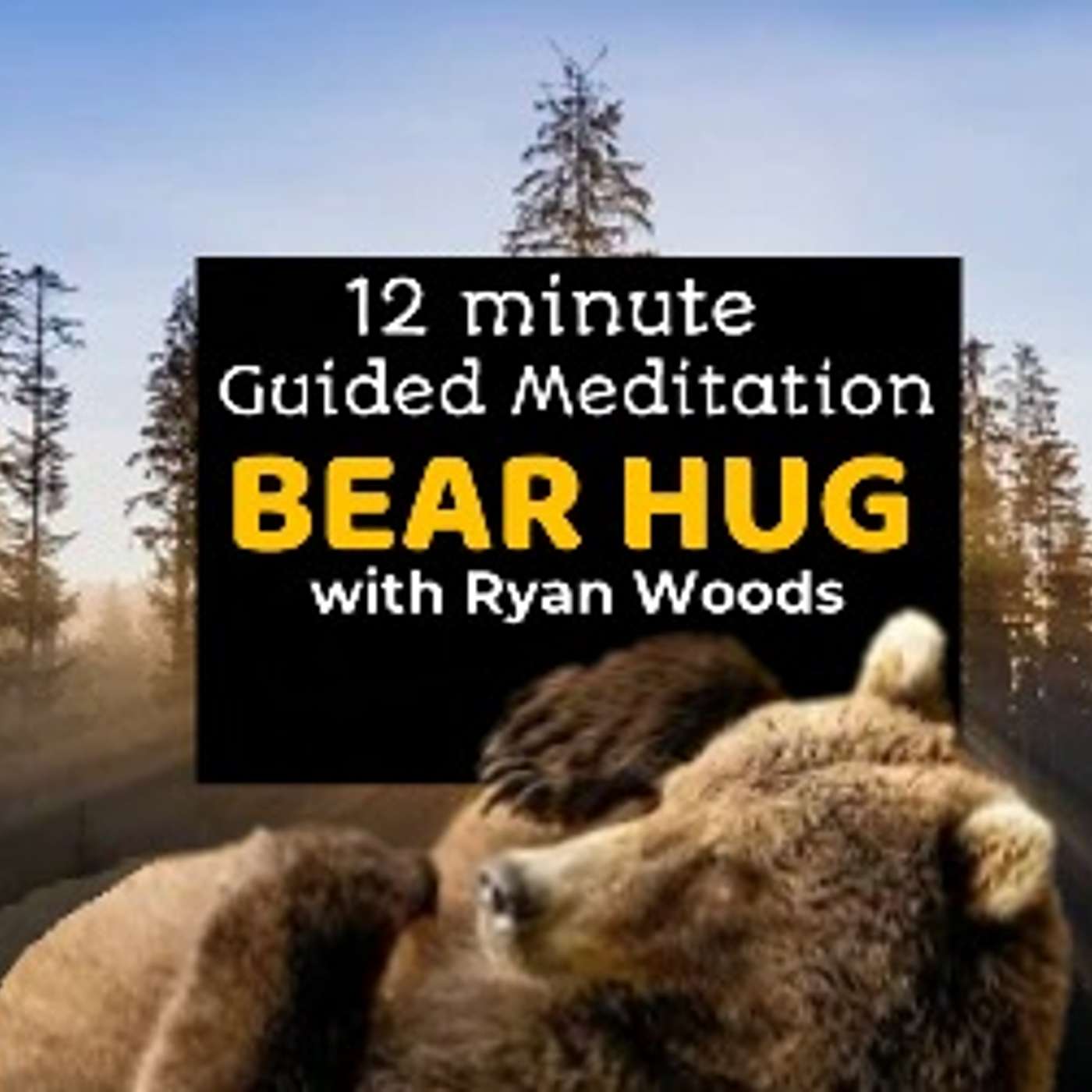 12-Minute Guided Meditation: Bear Hug