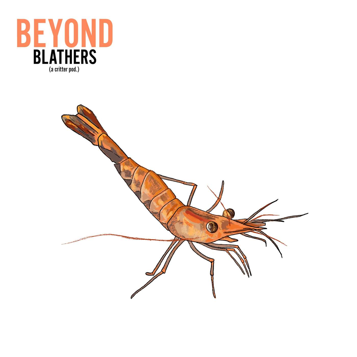 Beyond Blathers
