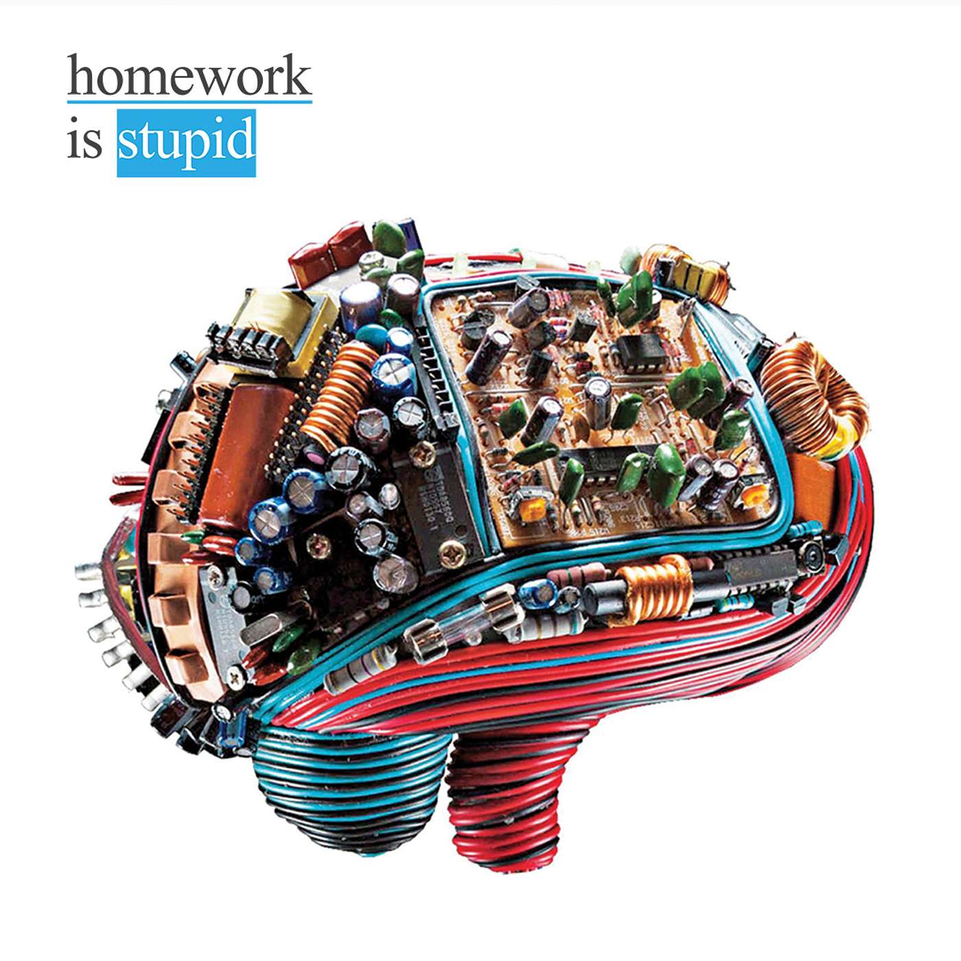Homework is stupid