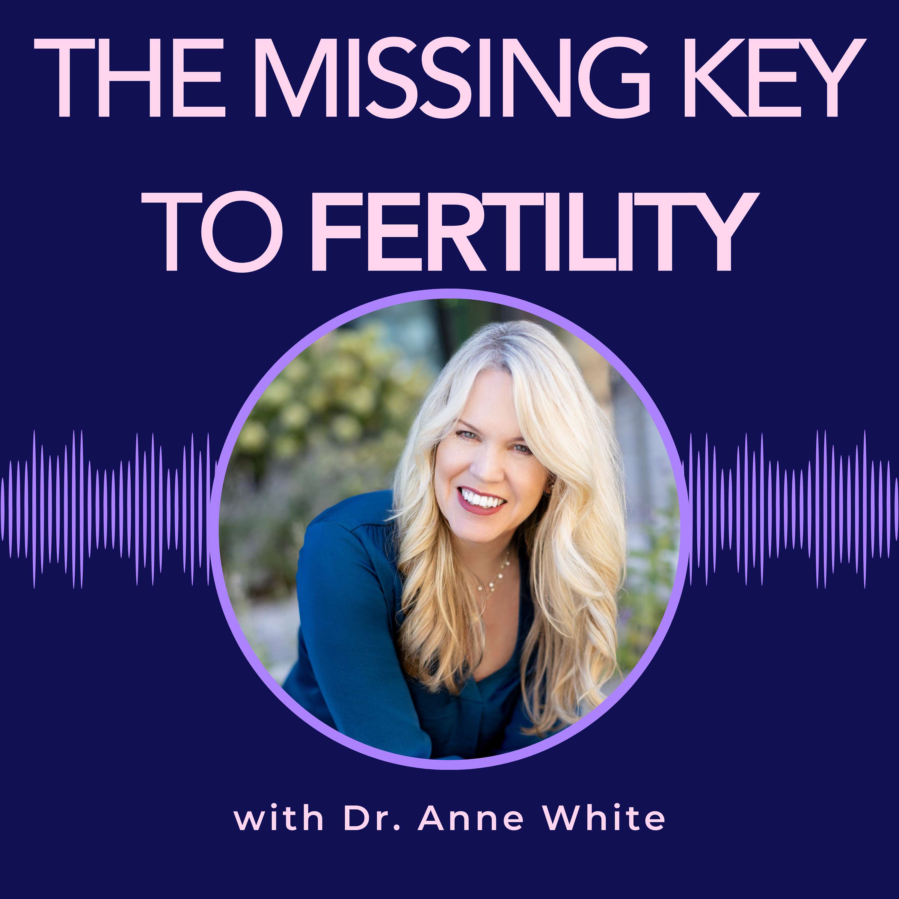 The Missing Key to Fertility podcast artwork