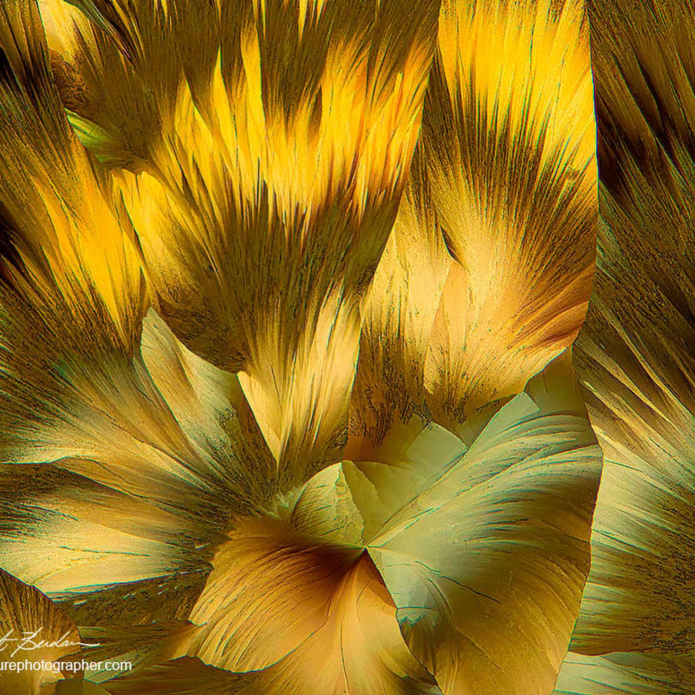 Conscious Living Conscious Dying 03 - Life - The Purpose of Human Life