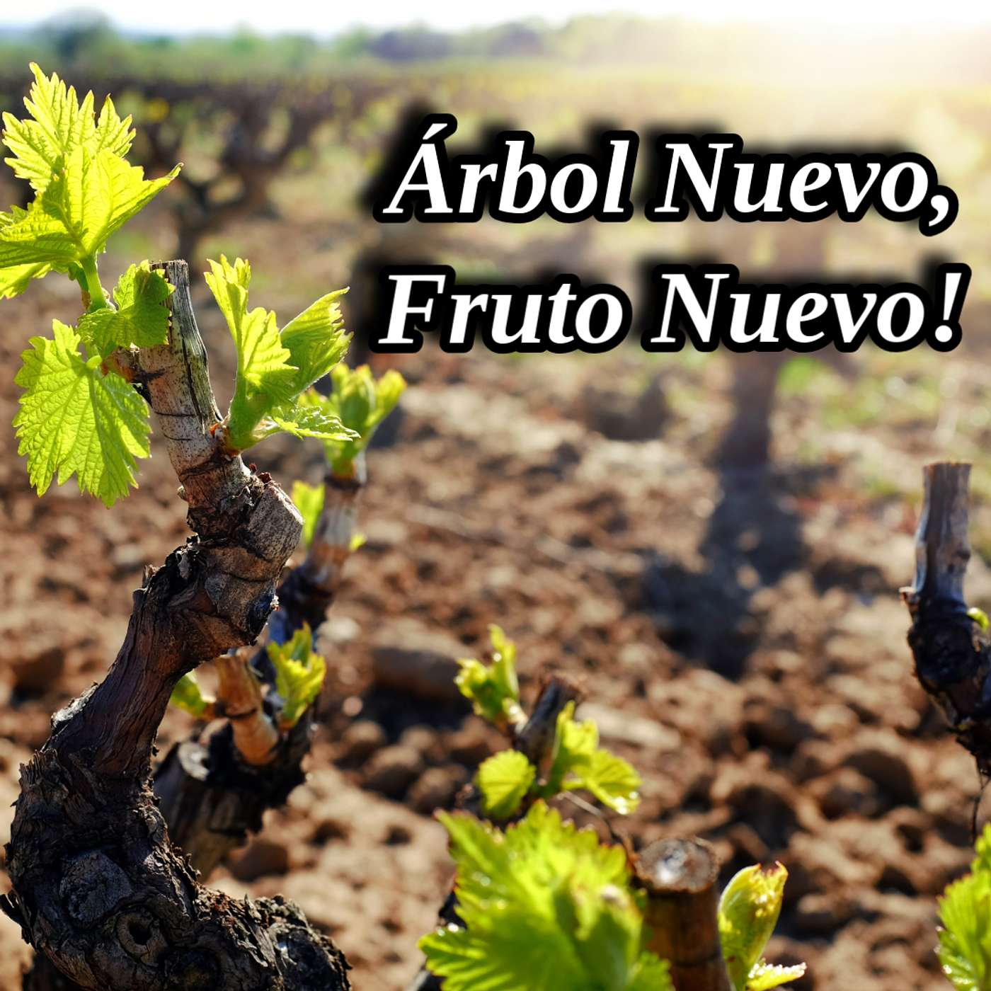 Árbol Nuevo, Fruto Nuevo!