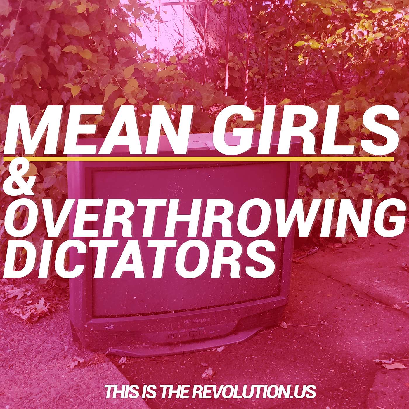 Mean Girls and How to Overthrow Dictators