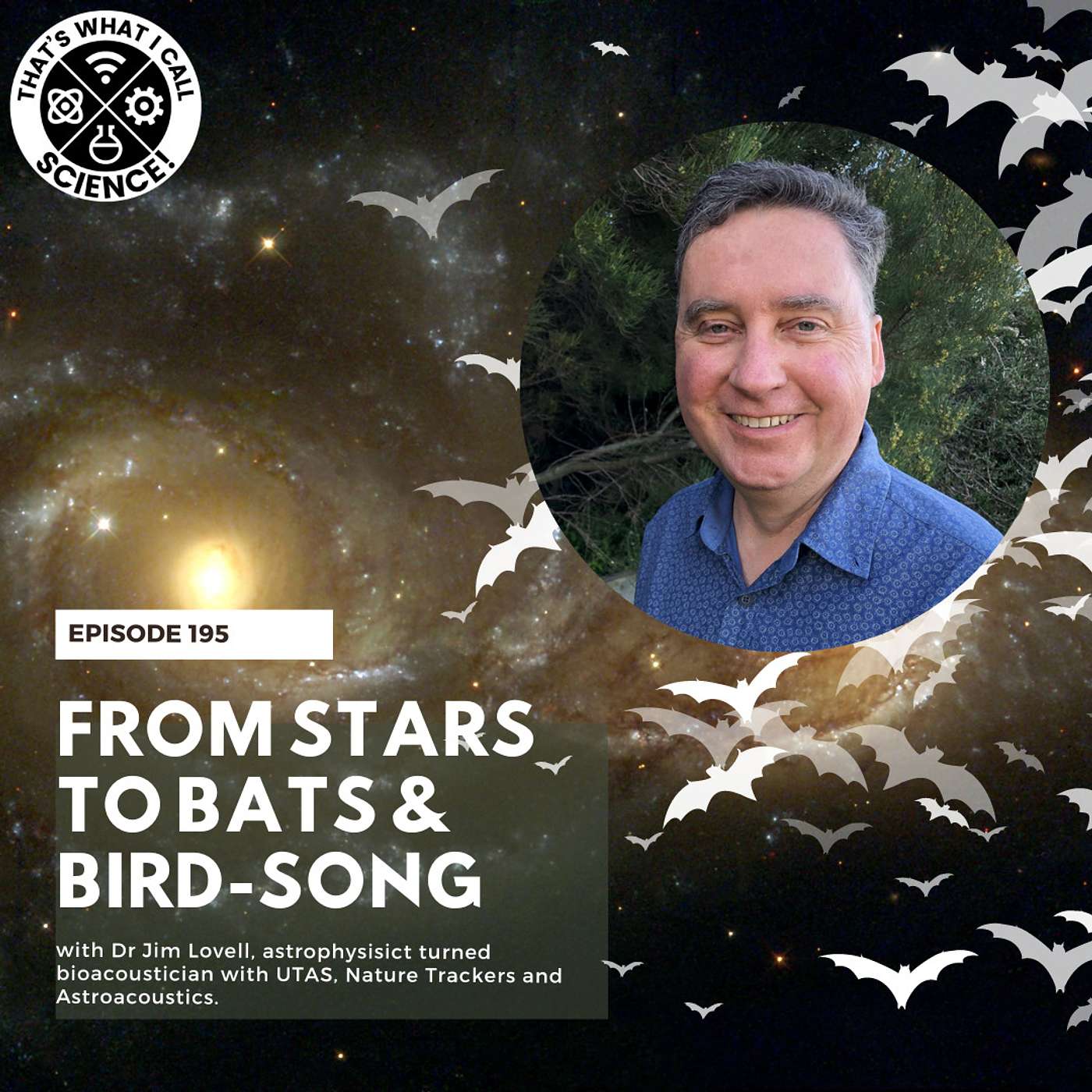 Episode 195: From stars to bats & bird-song