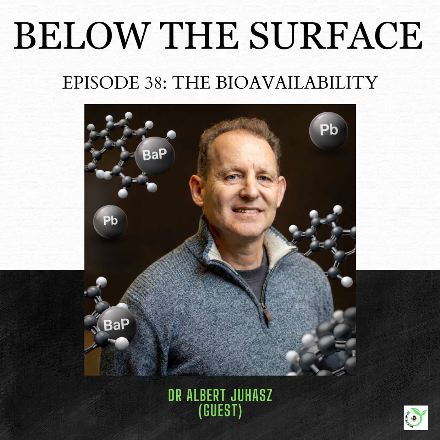 #38 The Bioavailability