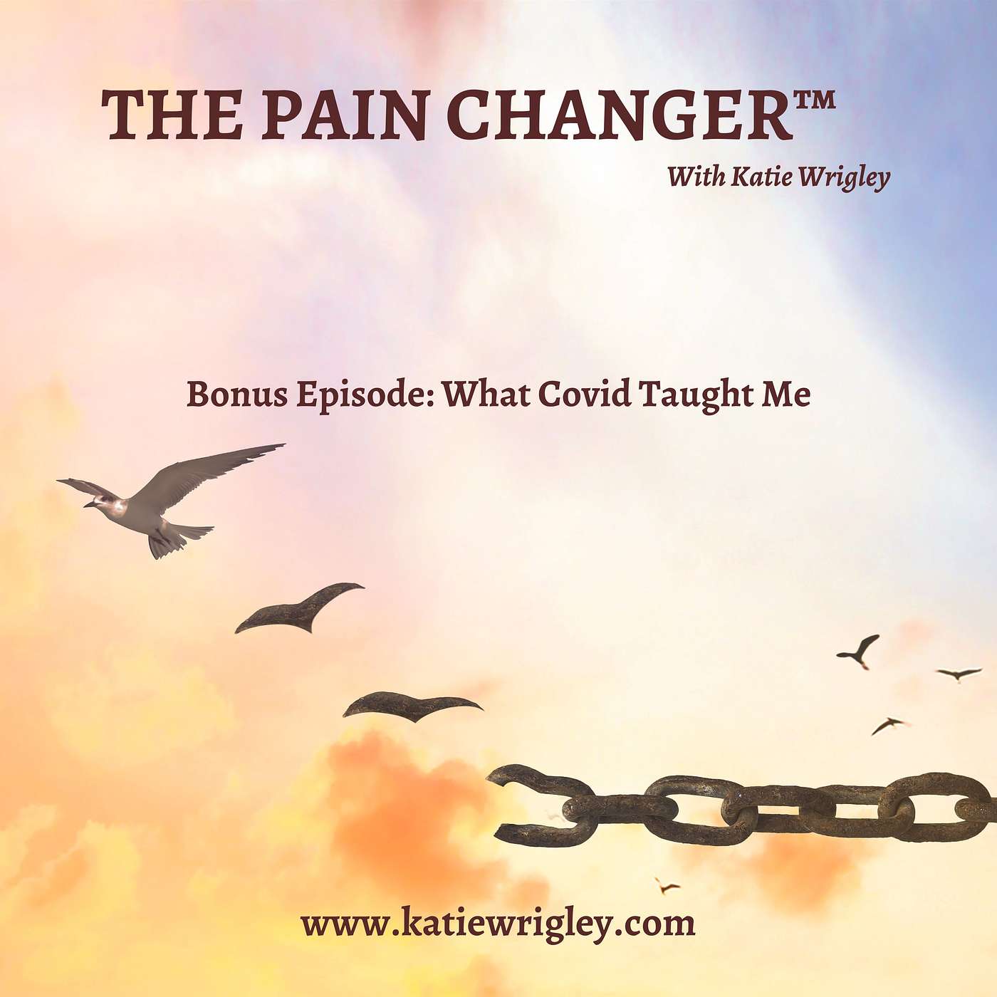 Bonus Episode: What Covid Taught Me
