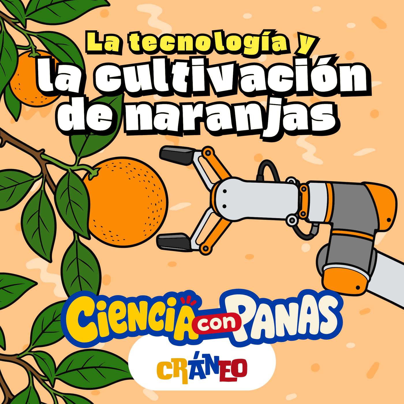 Cráneo: Ciencia para niños curiosos