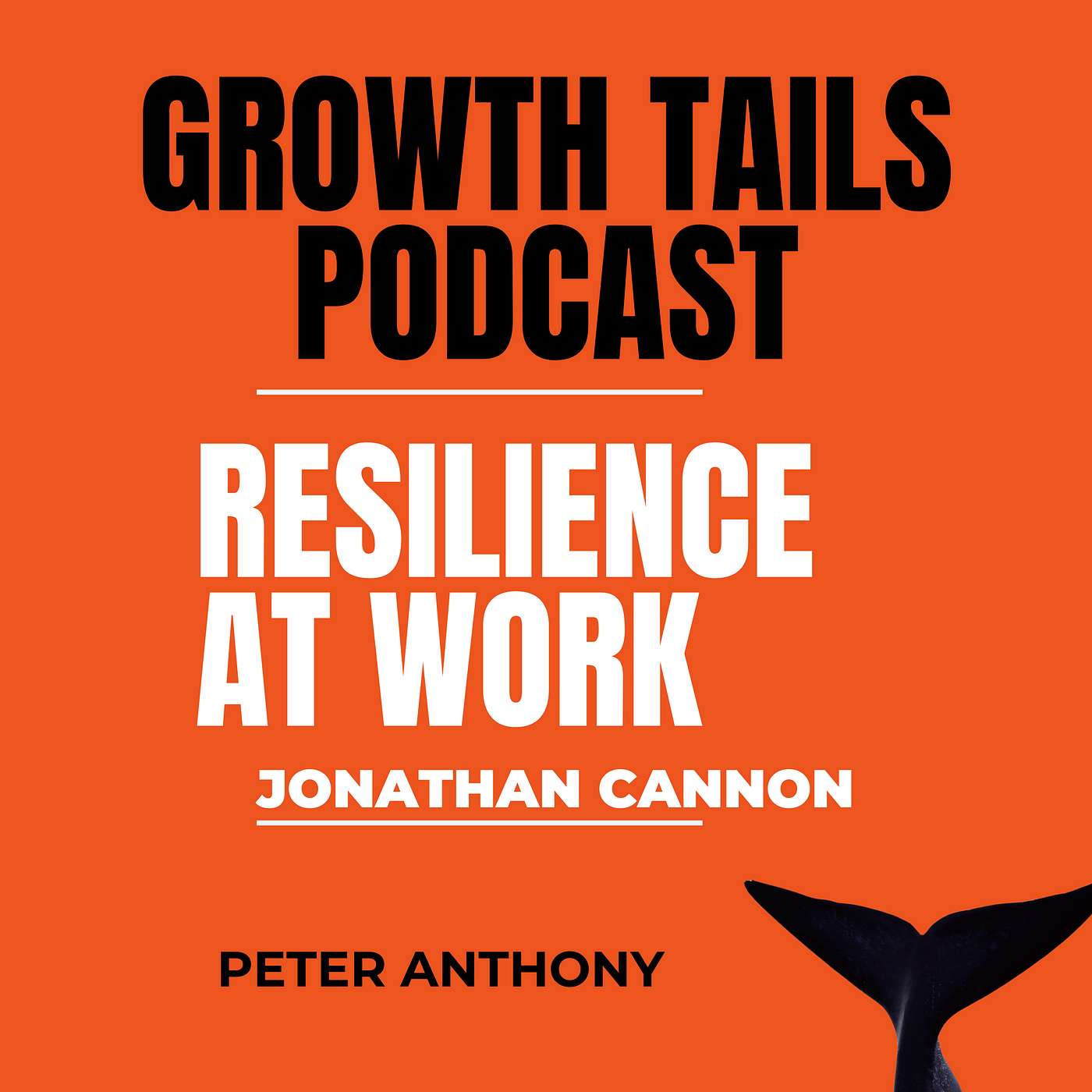 Resilience at Work : Jonathan Cannon