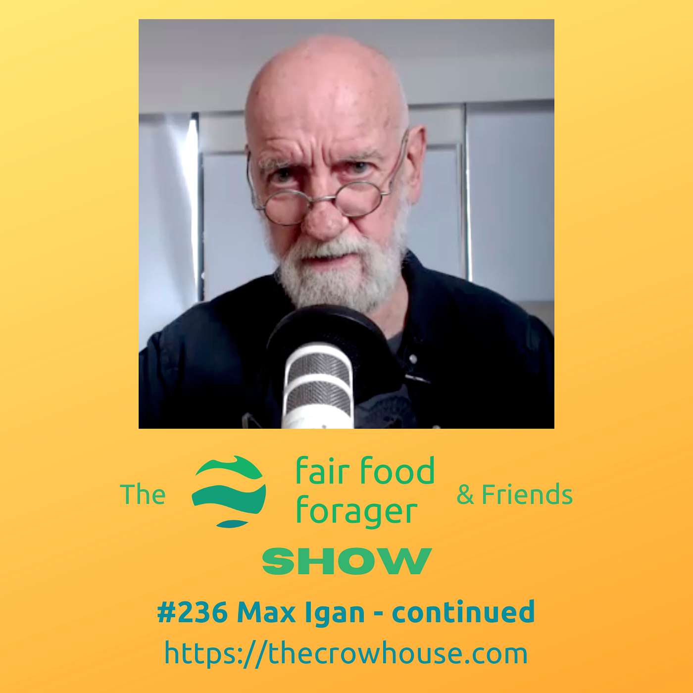 #236 Max Igan - Who's to blame for how things are? We the people tolerate criminals in government