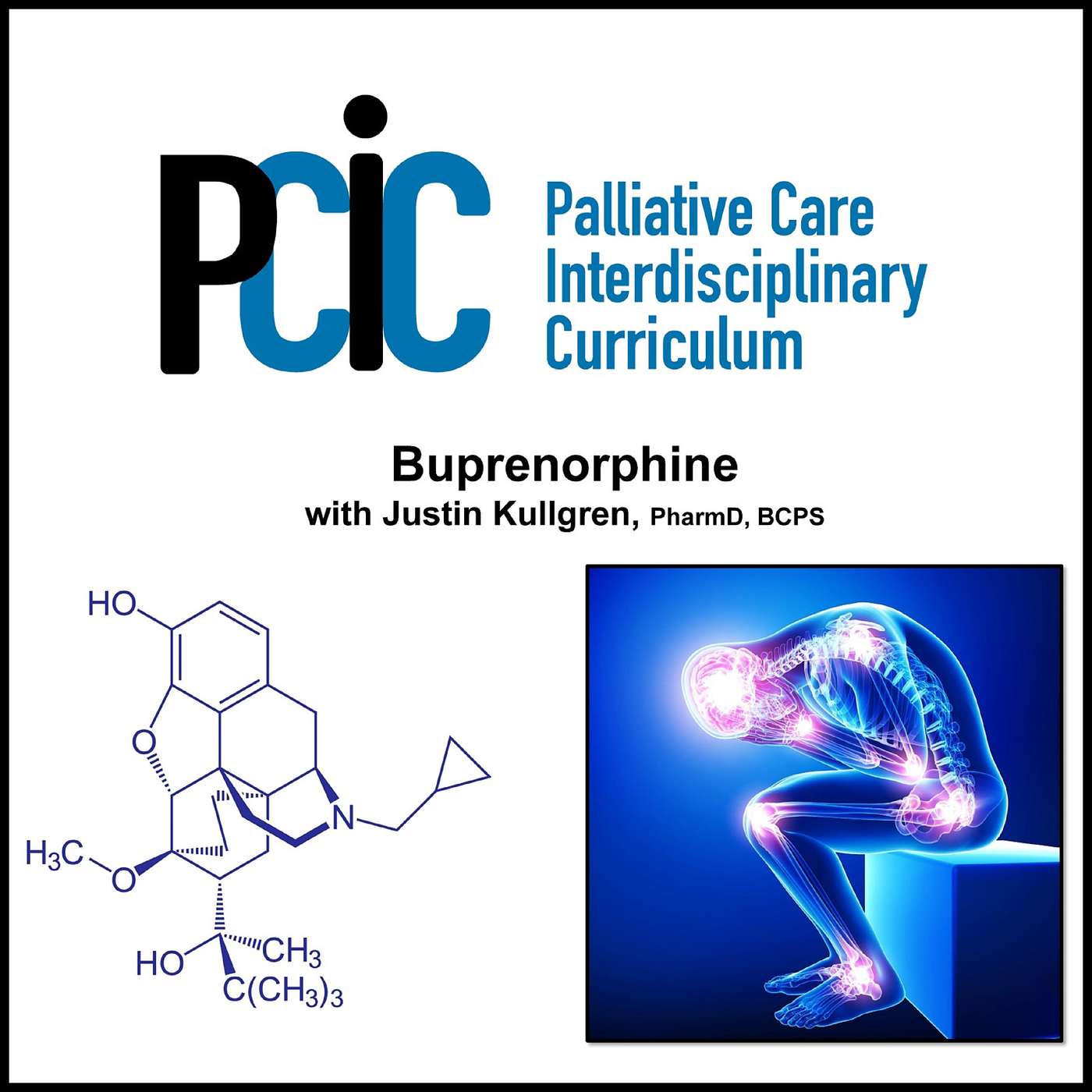 Palliative Care Interdisciplinary  Curriculum