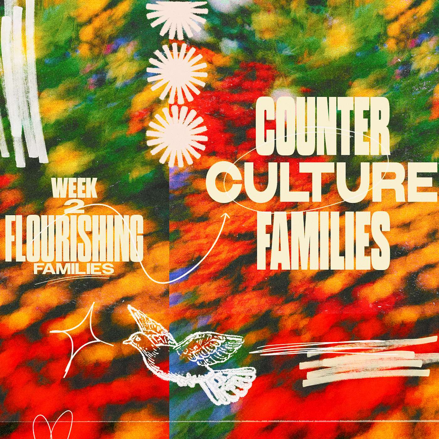Flourishing Family | Part 2: Counter Culture Famiies | Pastor Isaac Varty episode artwork