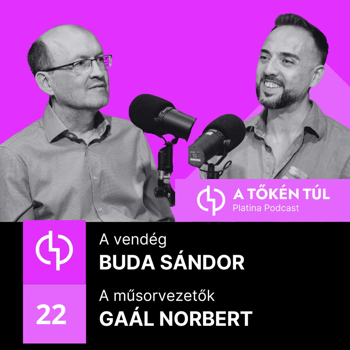 A Nemzeti Tőkeholding első embere- Buda Sándor A Nemzeti Tőkeholding első embere- Buda Sándor