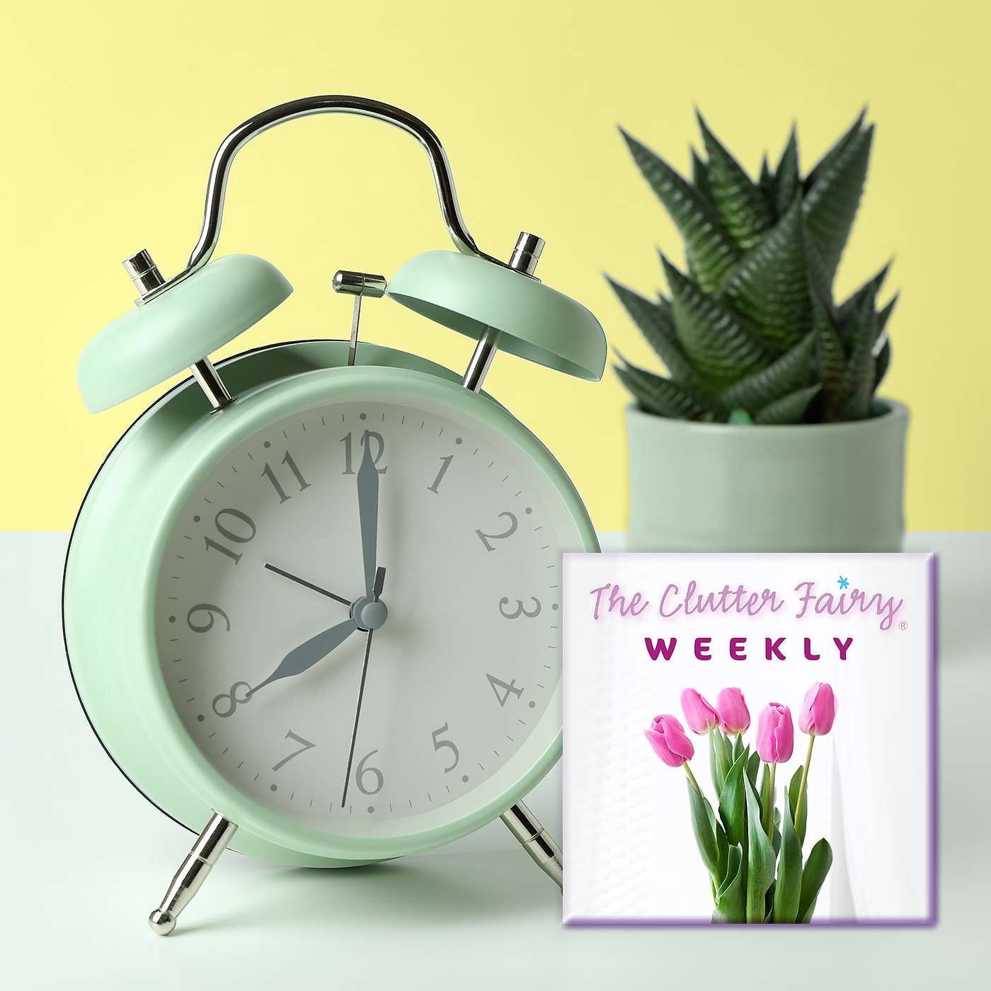 Routine Maintenance: Keep Your Organizing Machine Running Smoothly - The Clutter Fairy Weekly #118