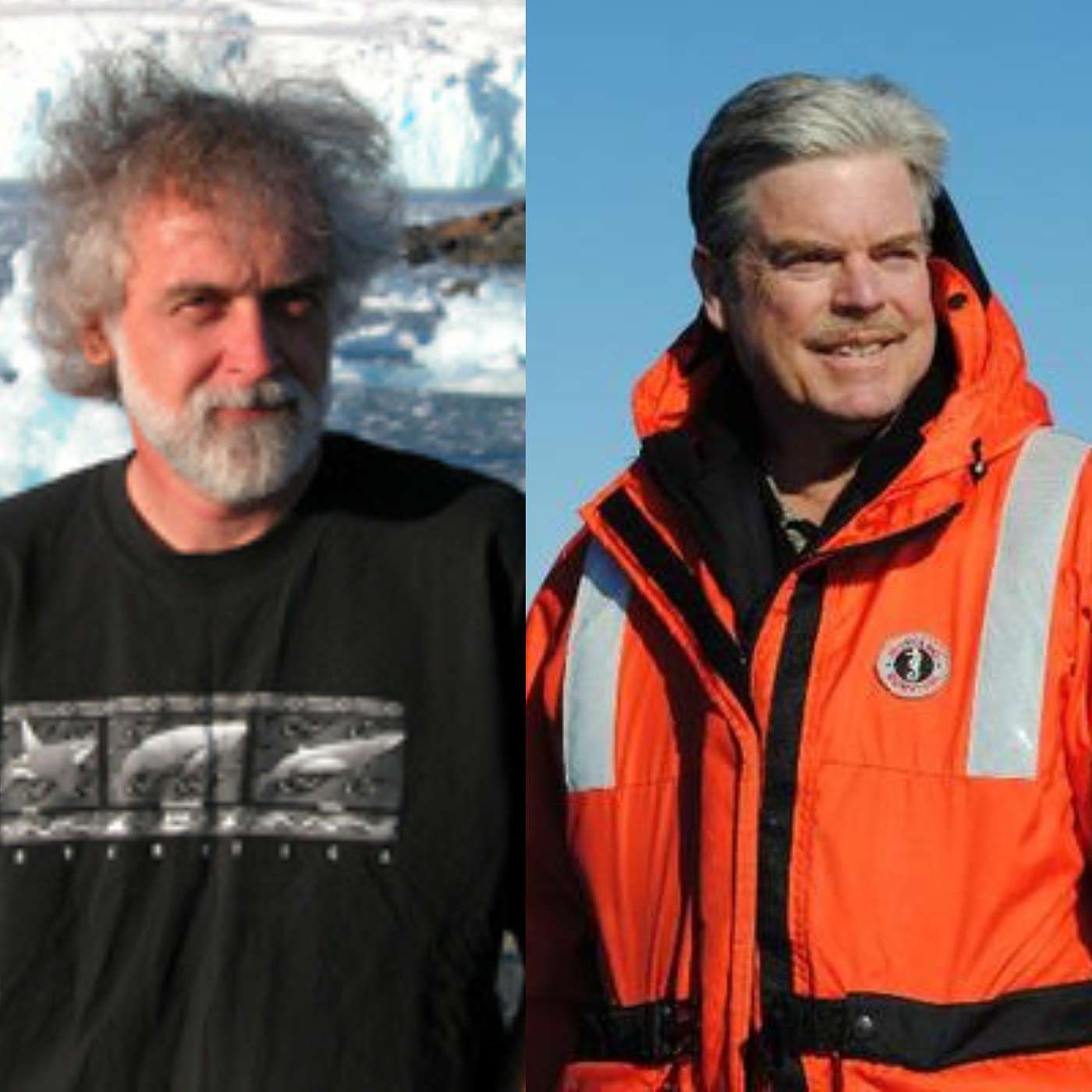 Antarctica Remastered: Drug Discoveries Beneath the Ice