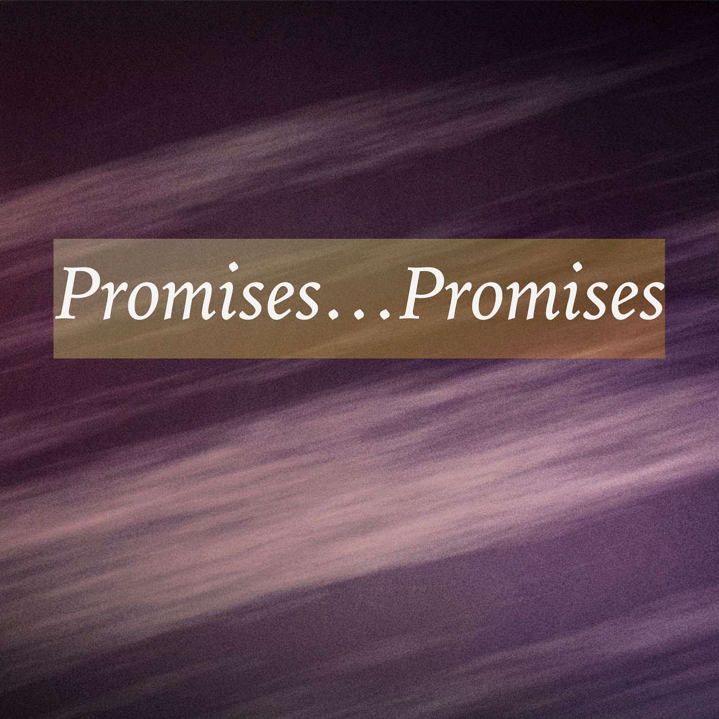 Promises...Promises