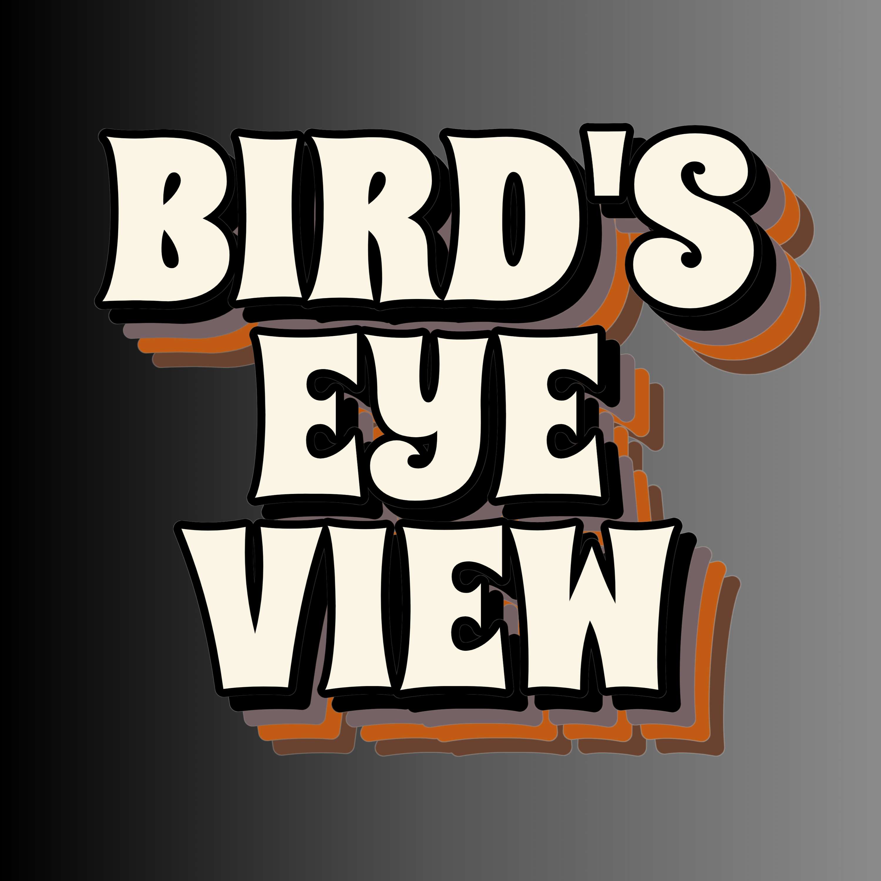 Bird’s Eye View cover art