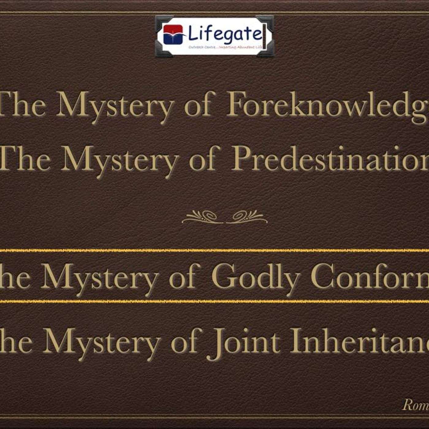 The Mystery of Godly Conformity episode artwork