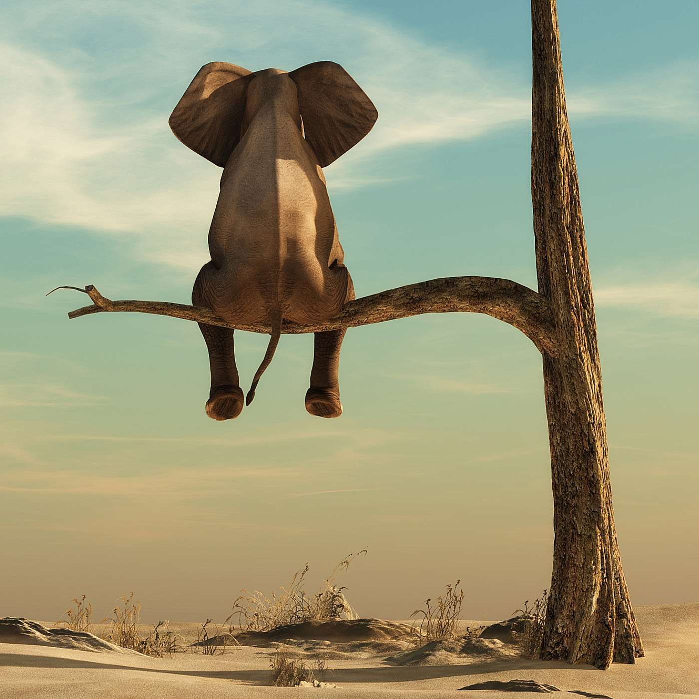 Ethics, Ferocity, and Harmony