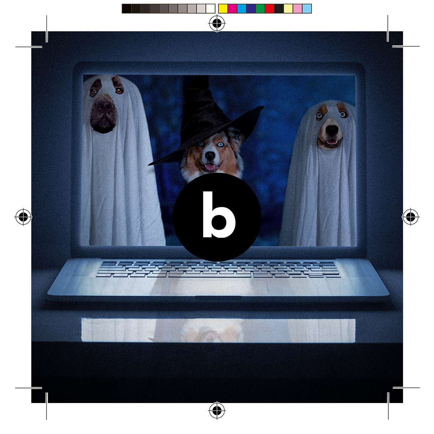 Bleed Advertising