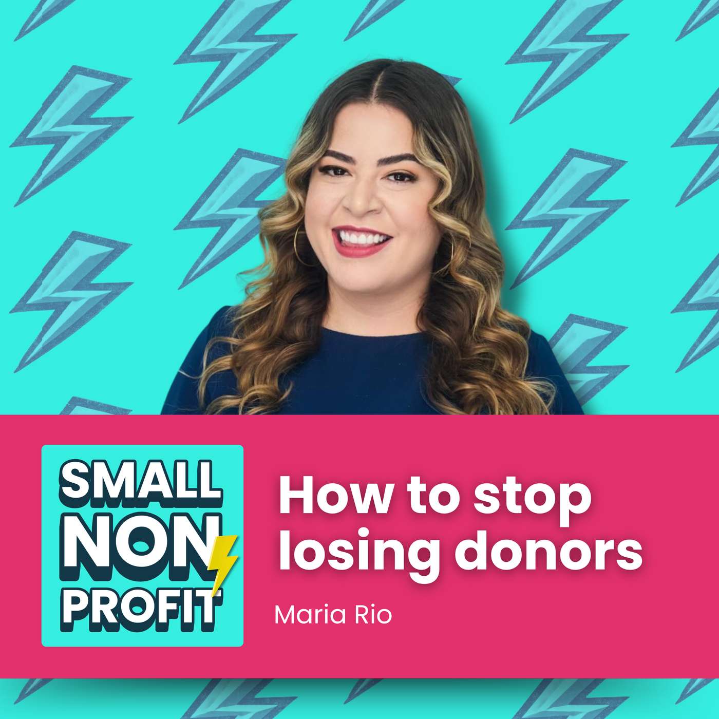 Small Nonprofit: Fundraising Tips, Leadership Strategies, and Community-Centric Solutions for Canadian and American Nonprofits