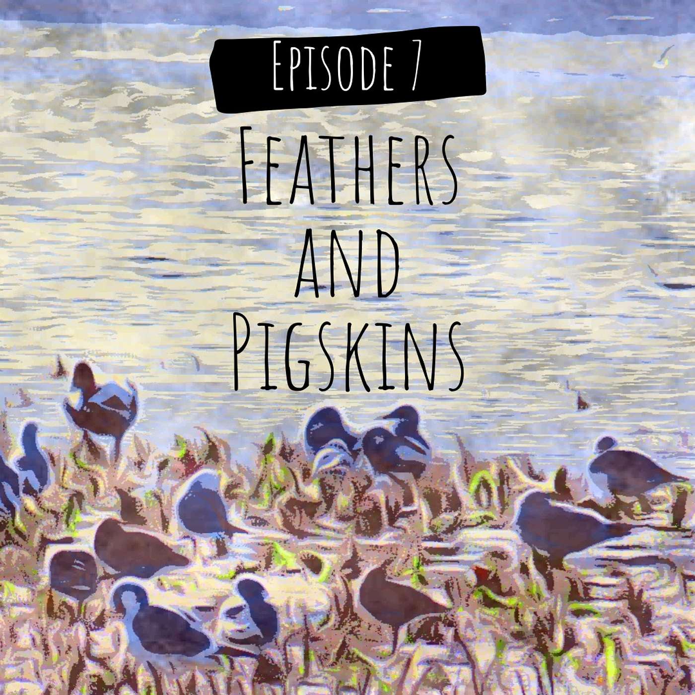 Feathers and Pigskins episode artwork