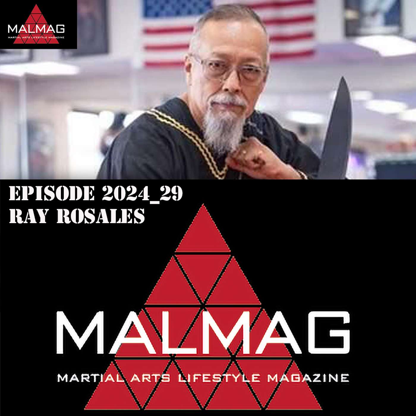 The Martial Arts Lifestyle Podcast