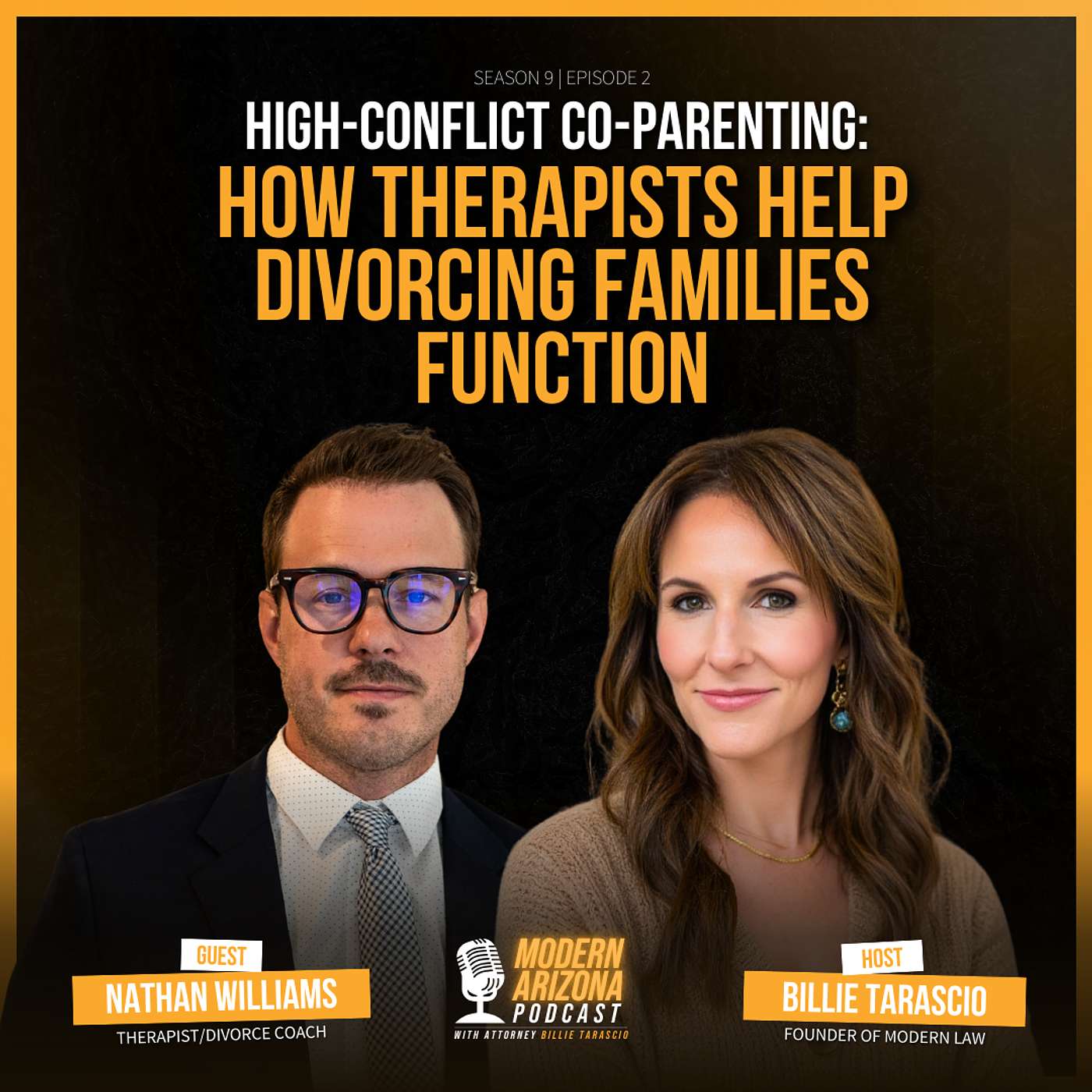 Inside Family Court Therapy: Nathan Williams on High-Conflict Co-Parenting