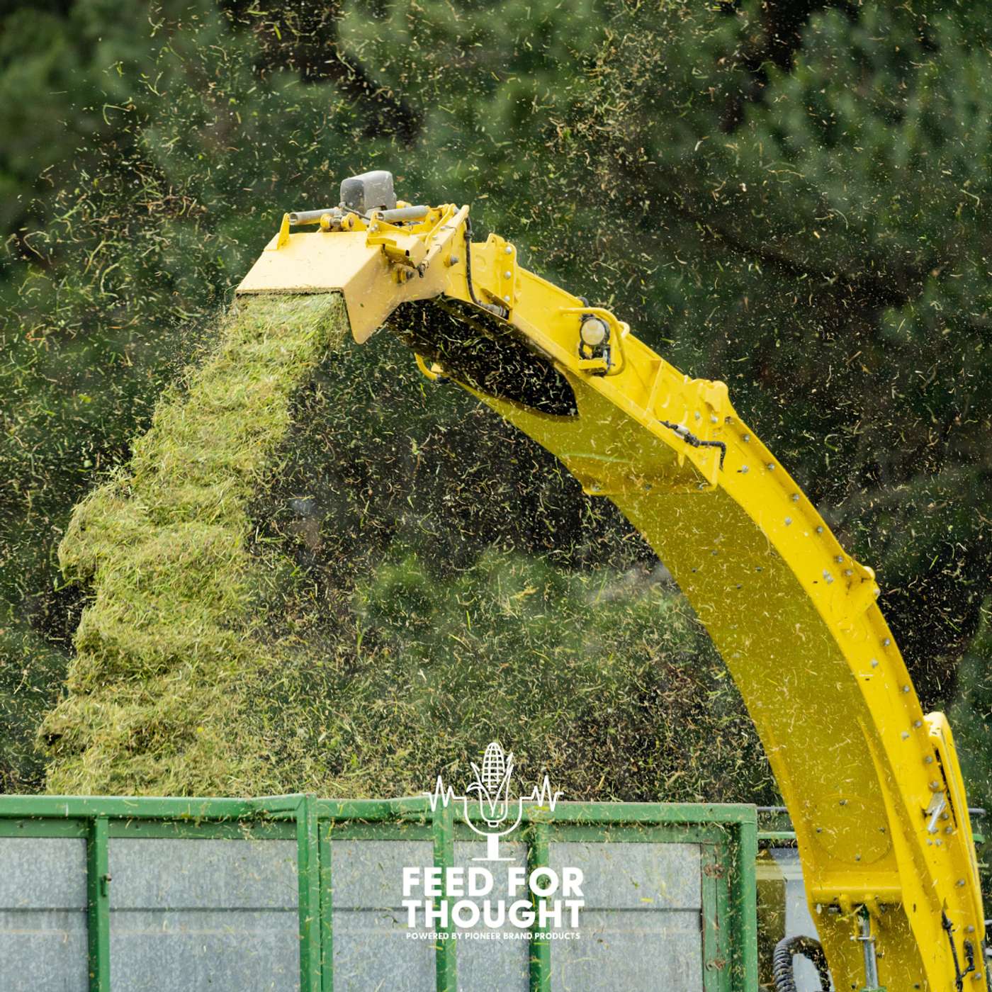 Preserving the quality of grass silage