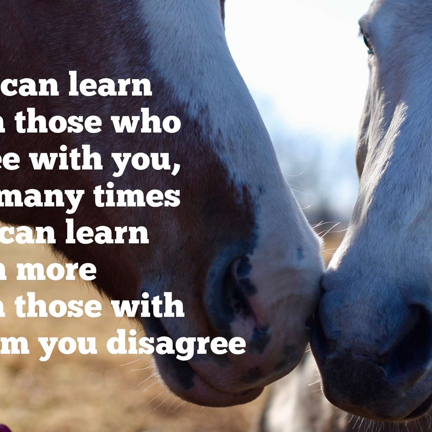 Different Perspectives