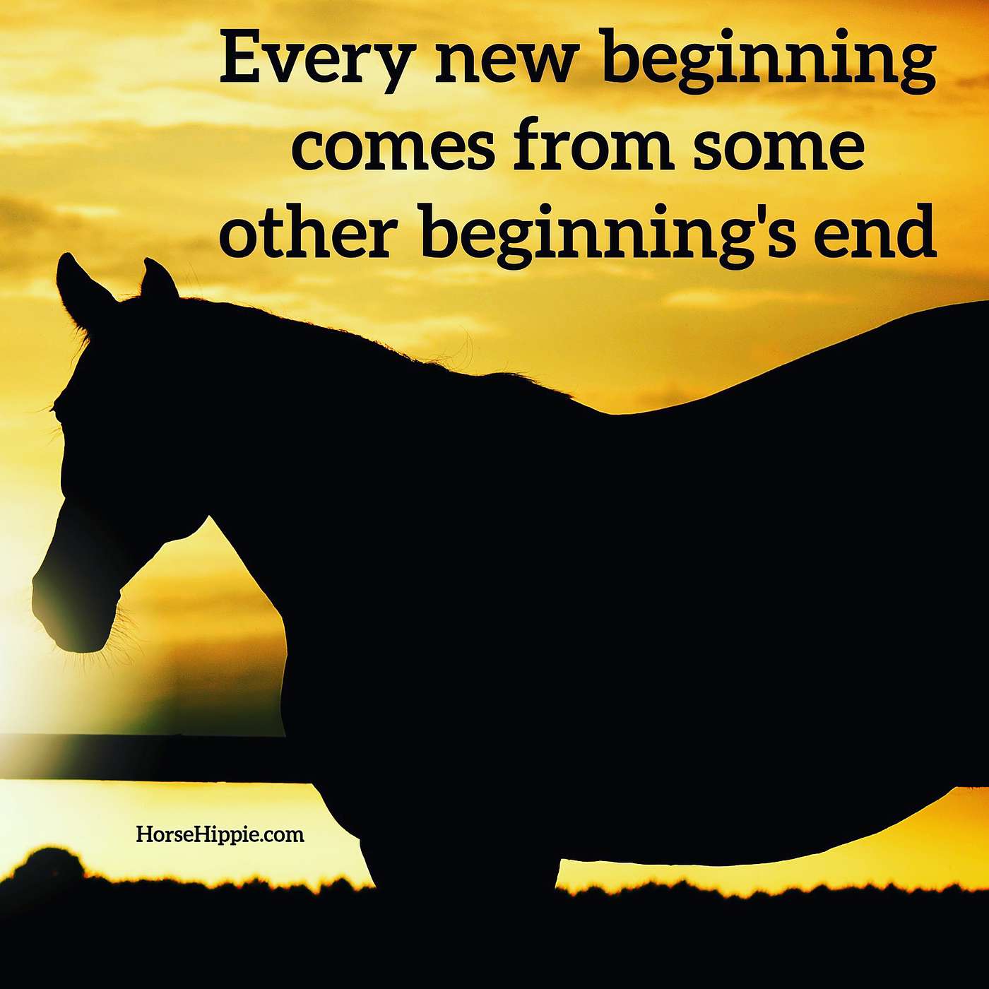 New Beginnings episode artwork