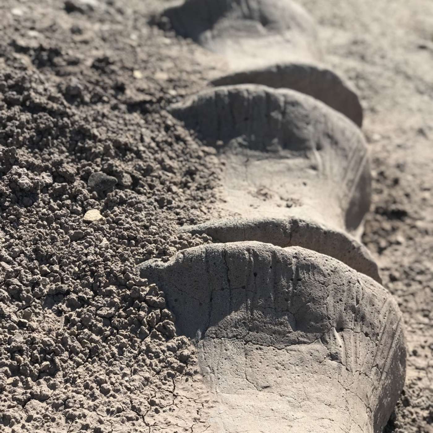 The Desert Landscape The Desert Landscape