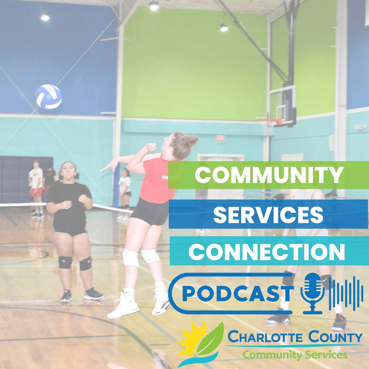 An update from Youth Volleyball at Harold Avenue Regional Park Recreation Center episode artwork