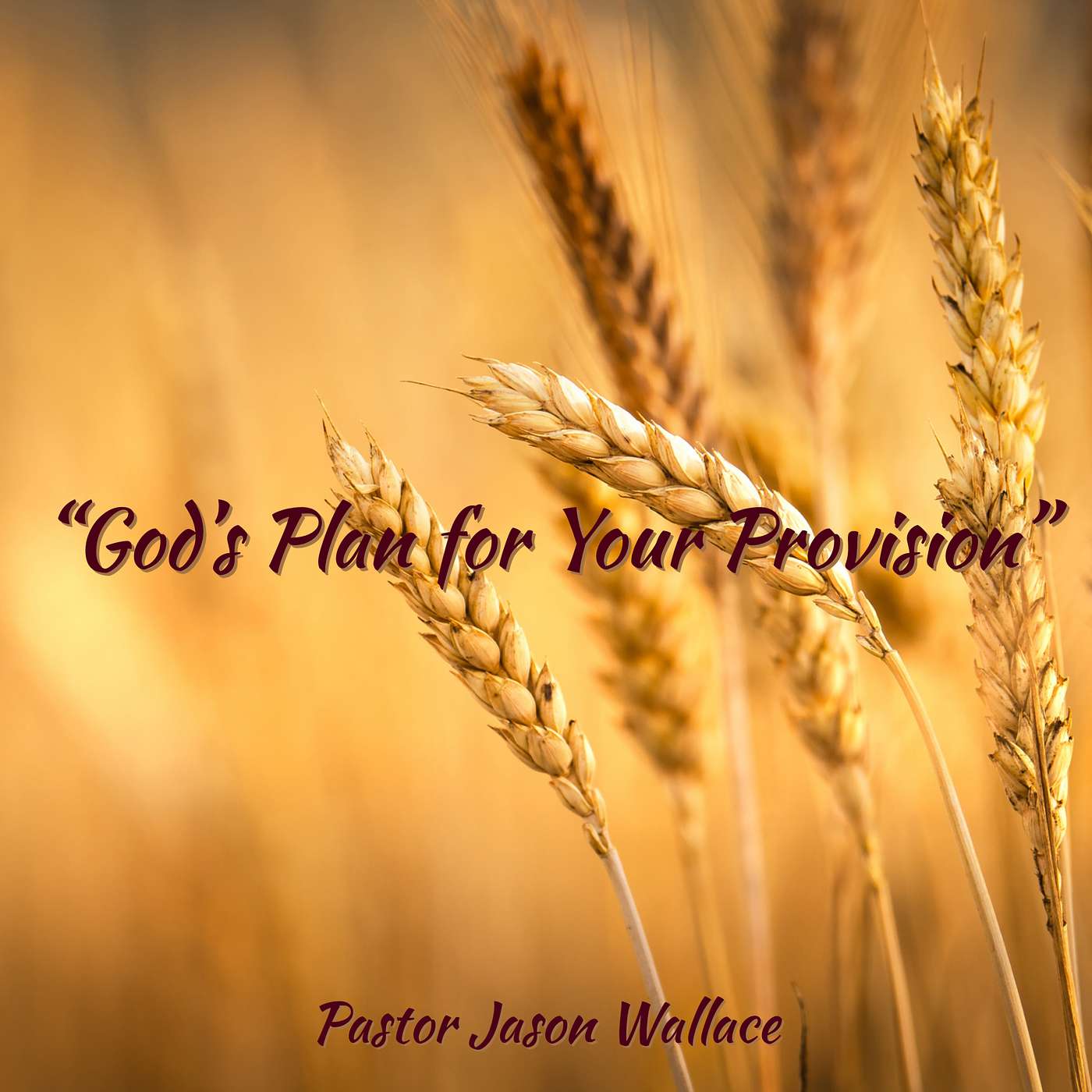 God's Plan for Your Provision episode artwork