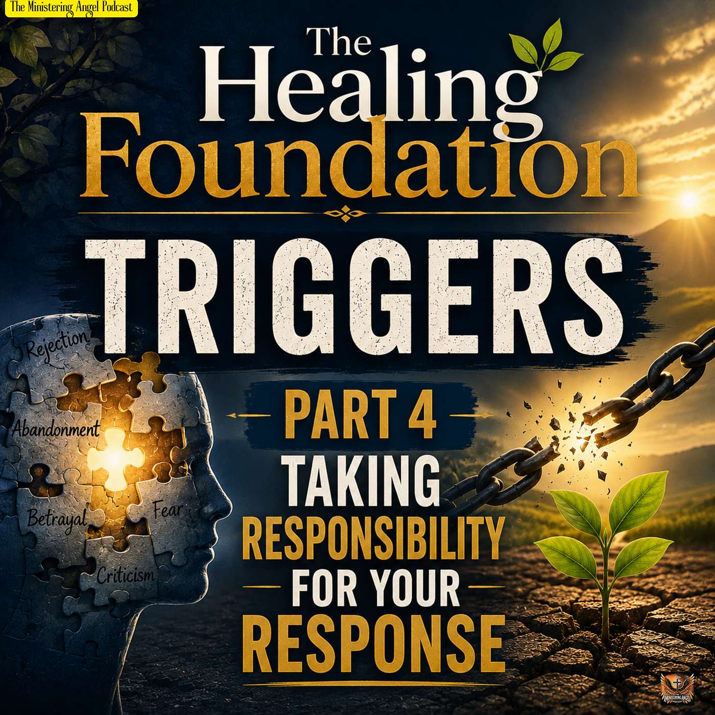 The Healing Foundation: Triggers  Part 4: Taking Responsibility for Your Response episode artwork
