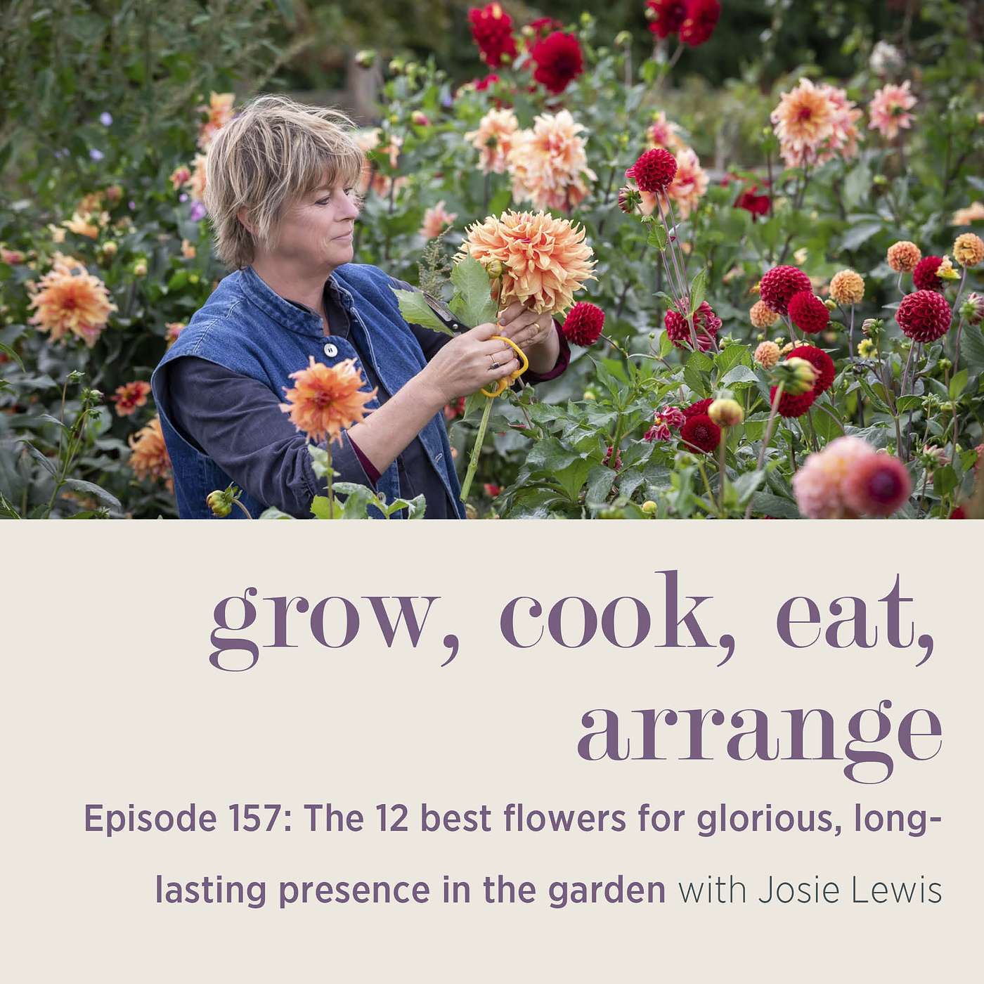 cover of episode The 12 Best Flowers for Glorious, Long-Lasting Presence in the Garden with Josie Lewis - Episode 157