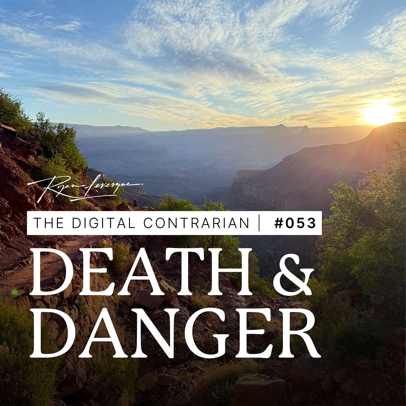 The Digital Contrarian