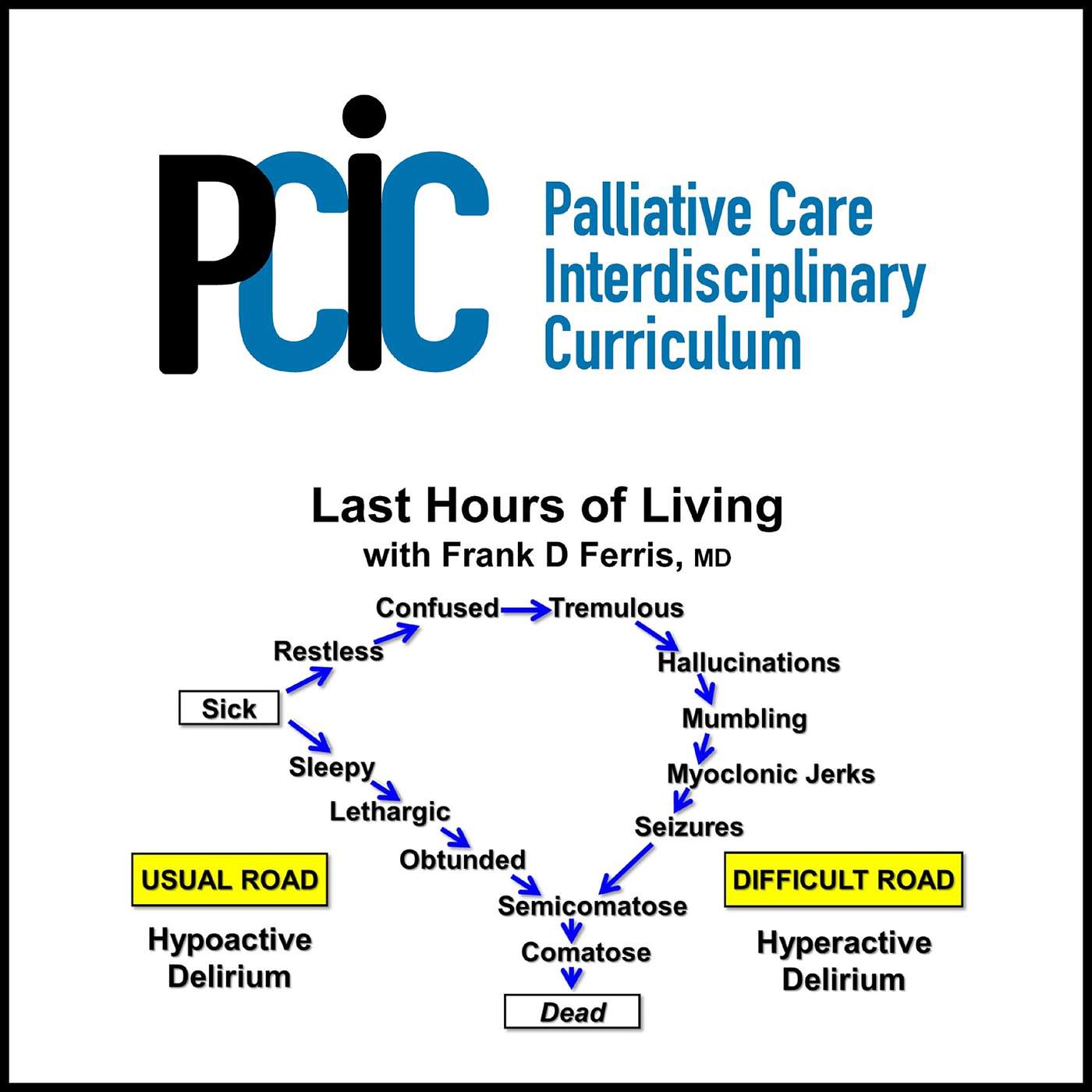 Palliative Care Interdisciplinary  Curriculum