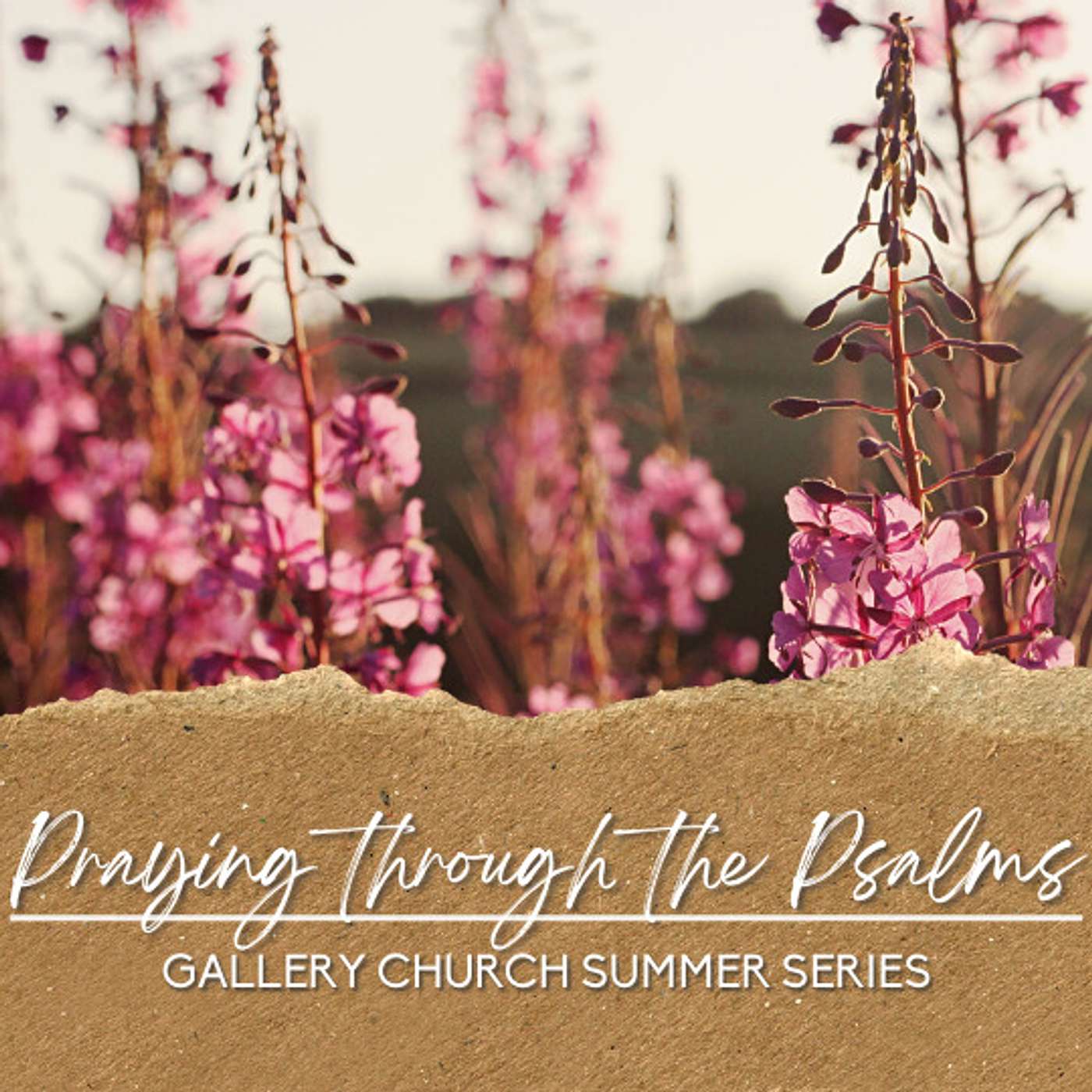 Praying Through the Psalms: Psalm 88