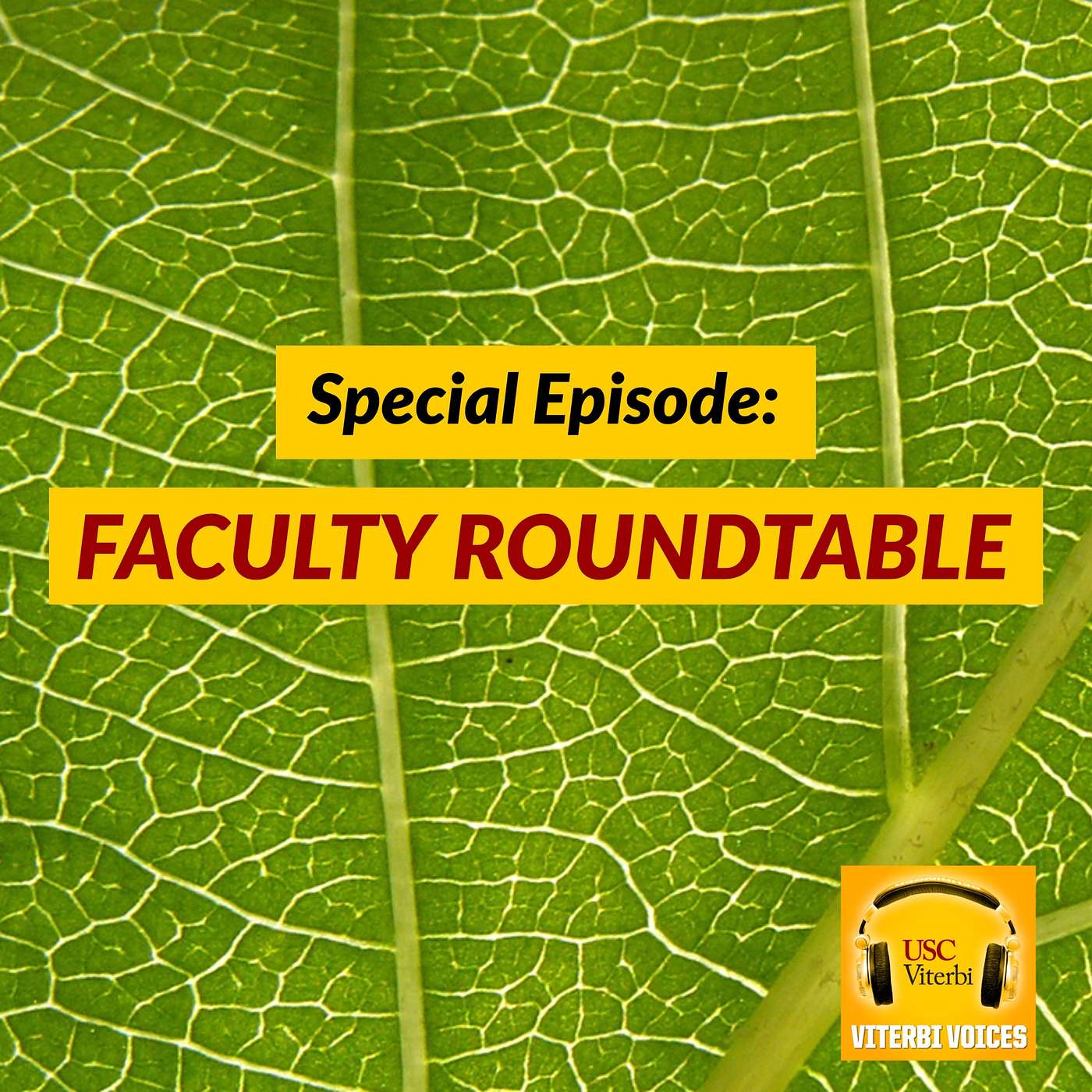 Viterbi Voices: The Podcast