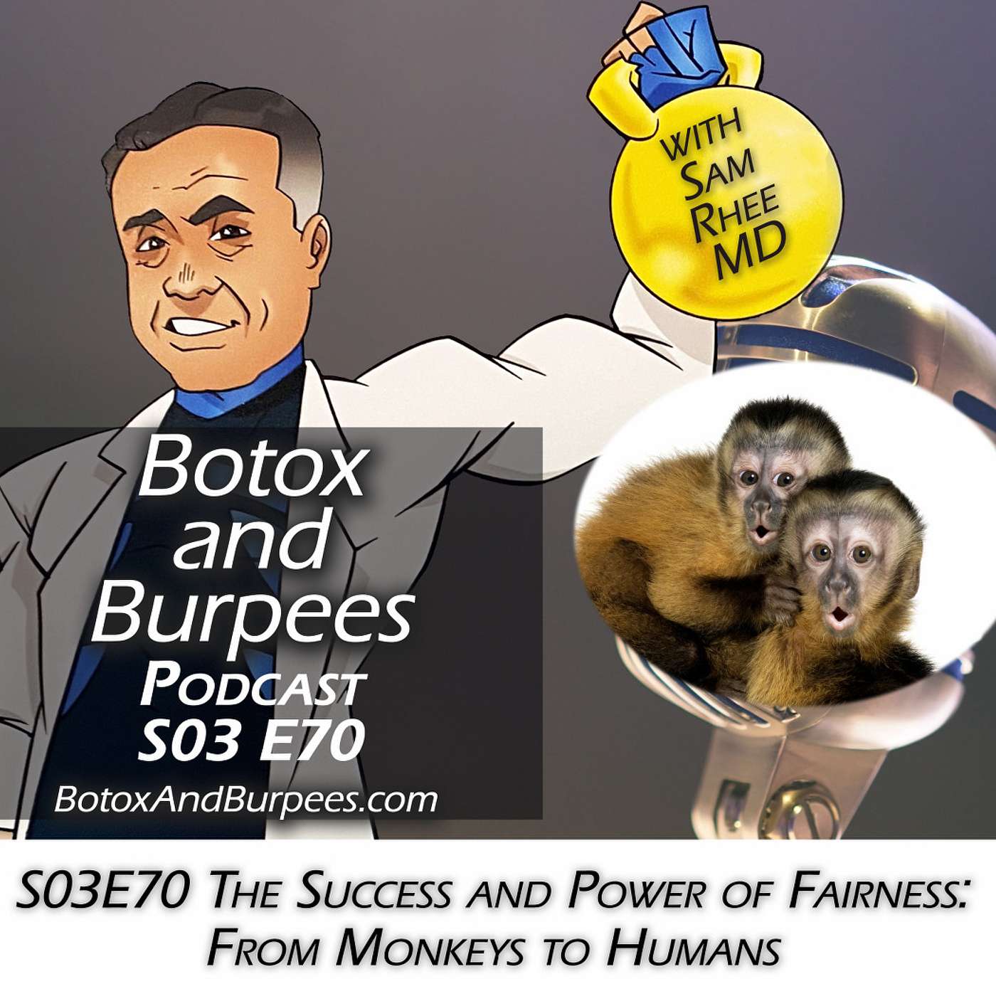 S03E70 The Success and Power of Fairness: From Monkeys to Humans episode artwork