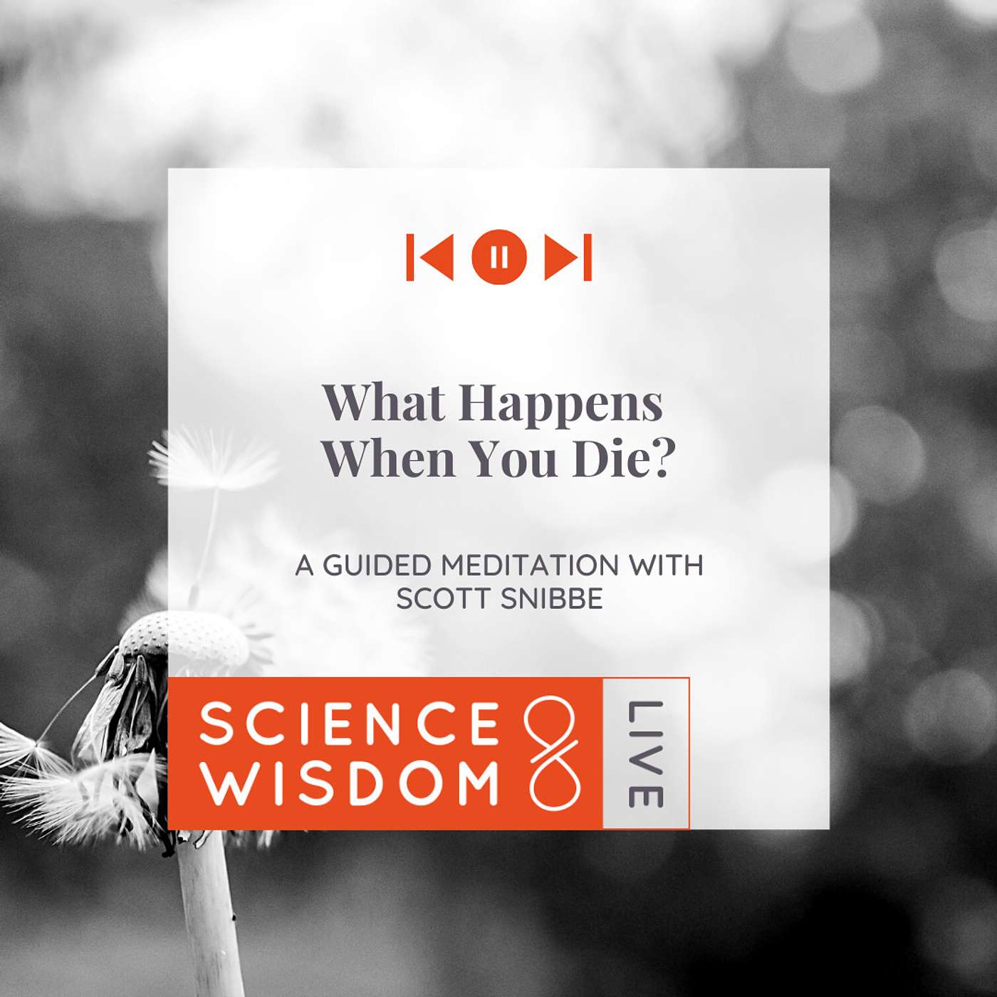 Science & Wisdom LIVE