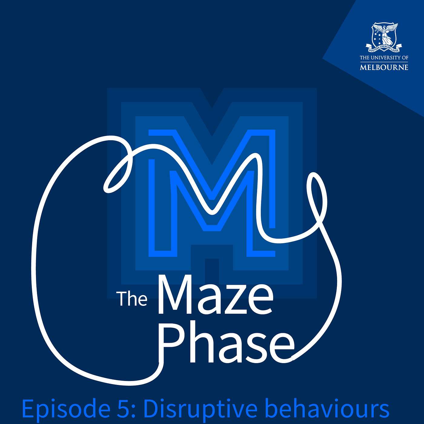 The Maze Phase