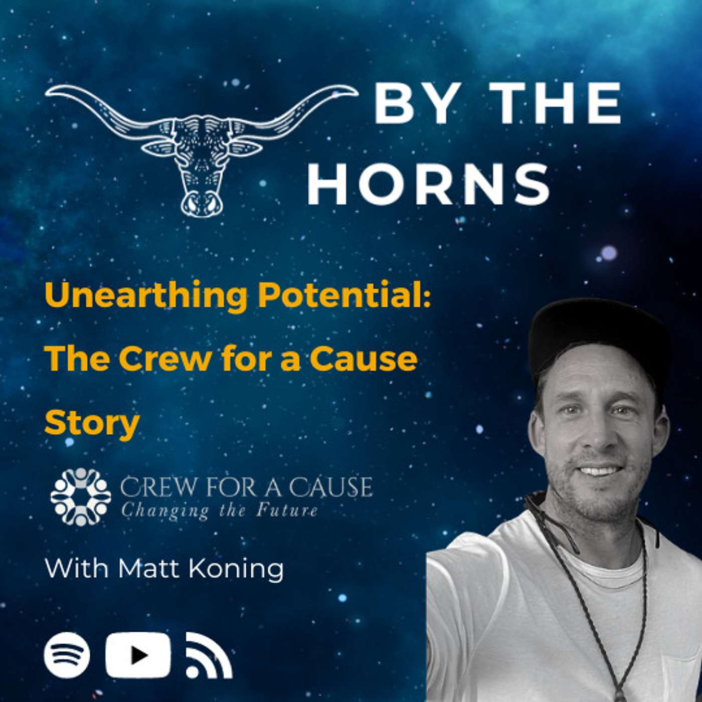 By The Horns: A Bitcoin podcast about South Africa