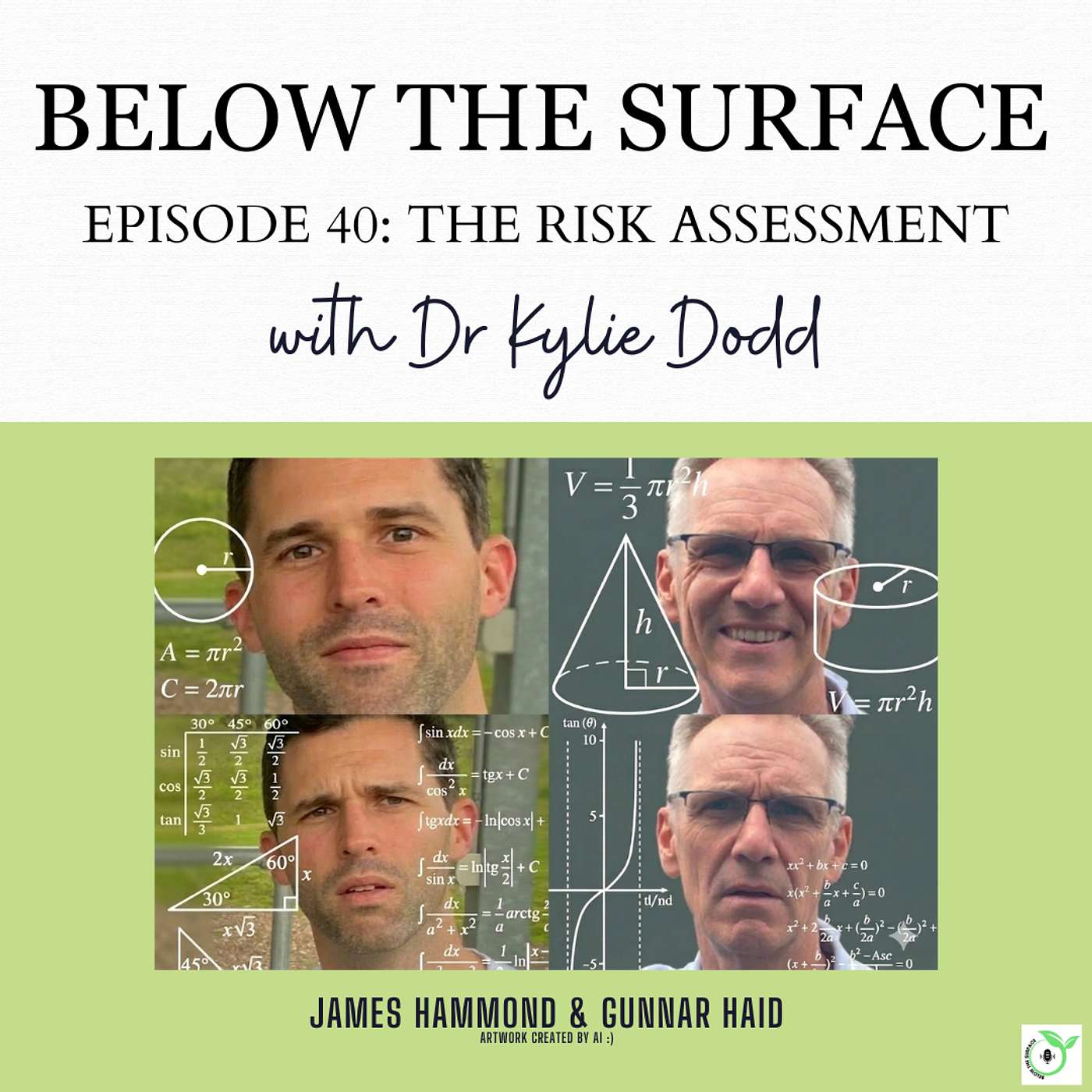 #40 The Risk Assessment
