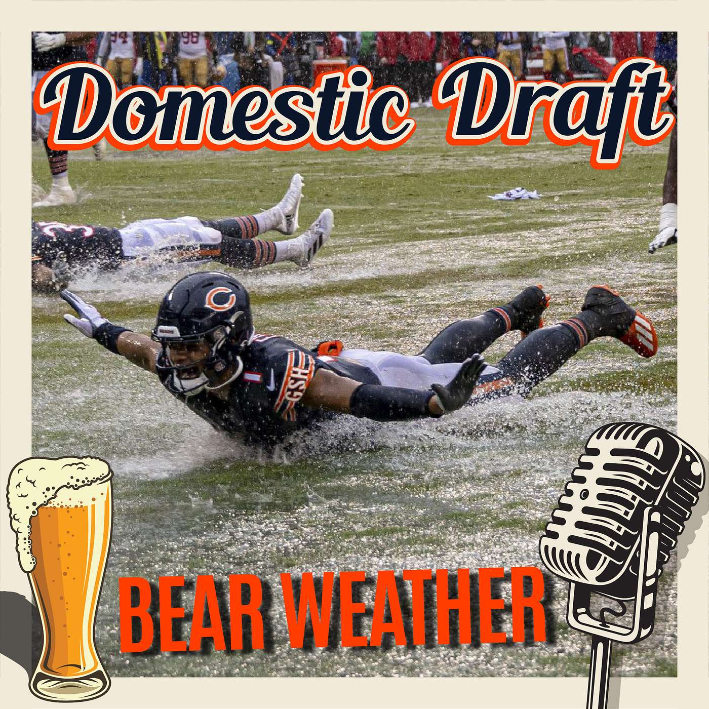 Domestic Draft