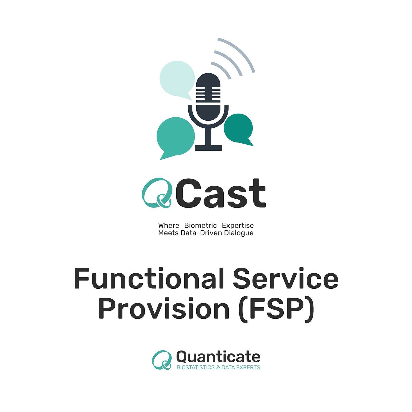 Episode 40: Functional Service Provision (FSP)
